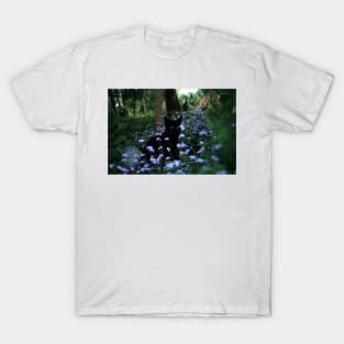 Black tomcat Paule in the flowerbed T-Shirt